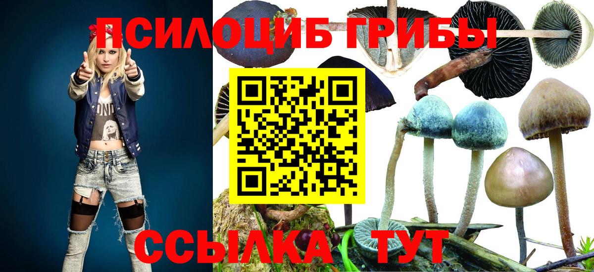 Псилоцибиновые грибы прущие грибы Боровичи