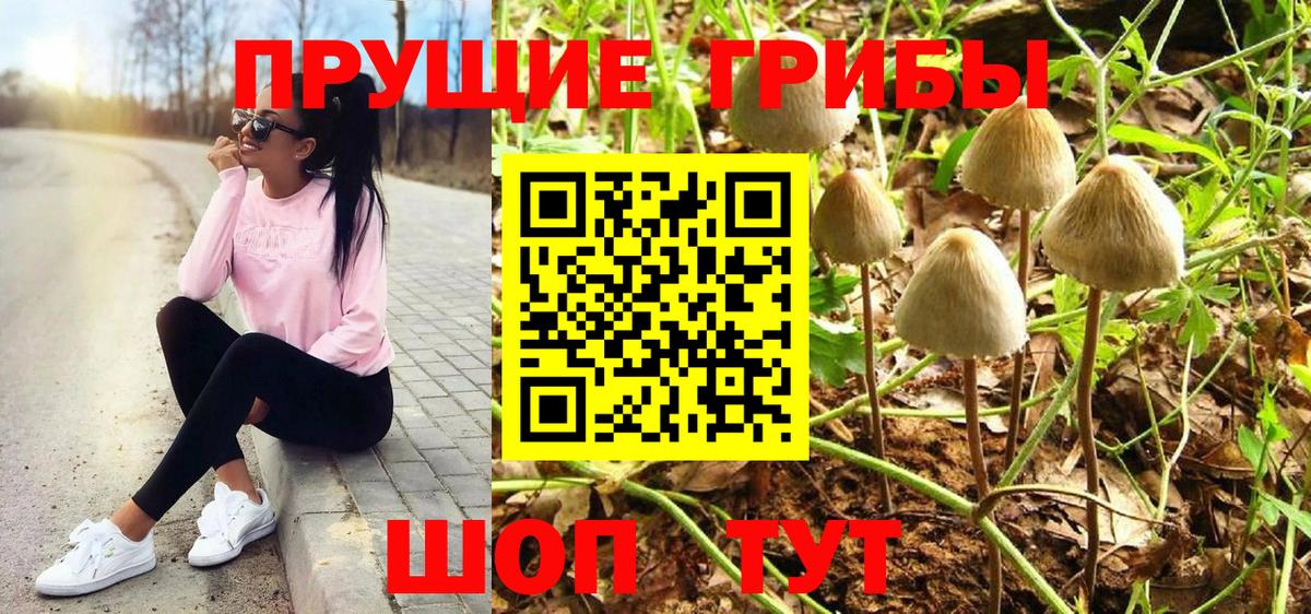 Псилоцибиновые грибы мицелий  Псилоцибиновые грибы Cubensis  цена наркотик  Боровичи  Вход с VPN 